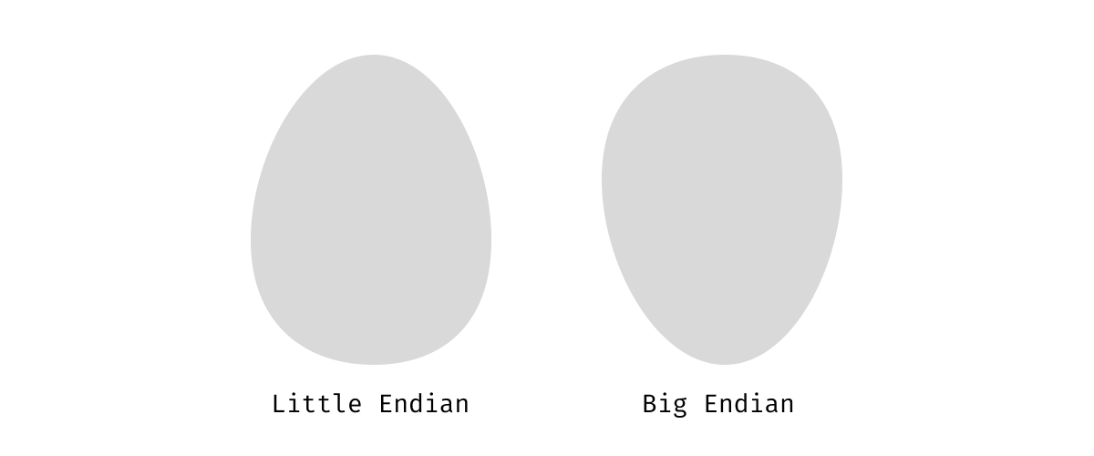 An image showing to endian eggs oriented in the big and little-endian fassion